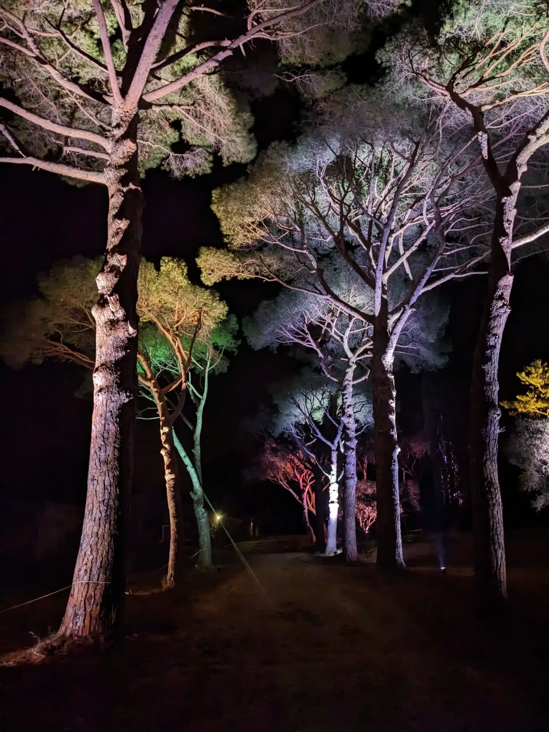 Parc Et Lumieres 2 Jpg.webp