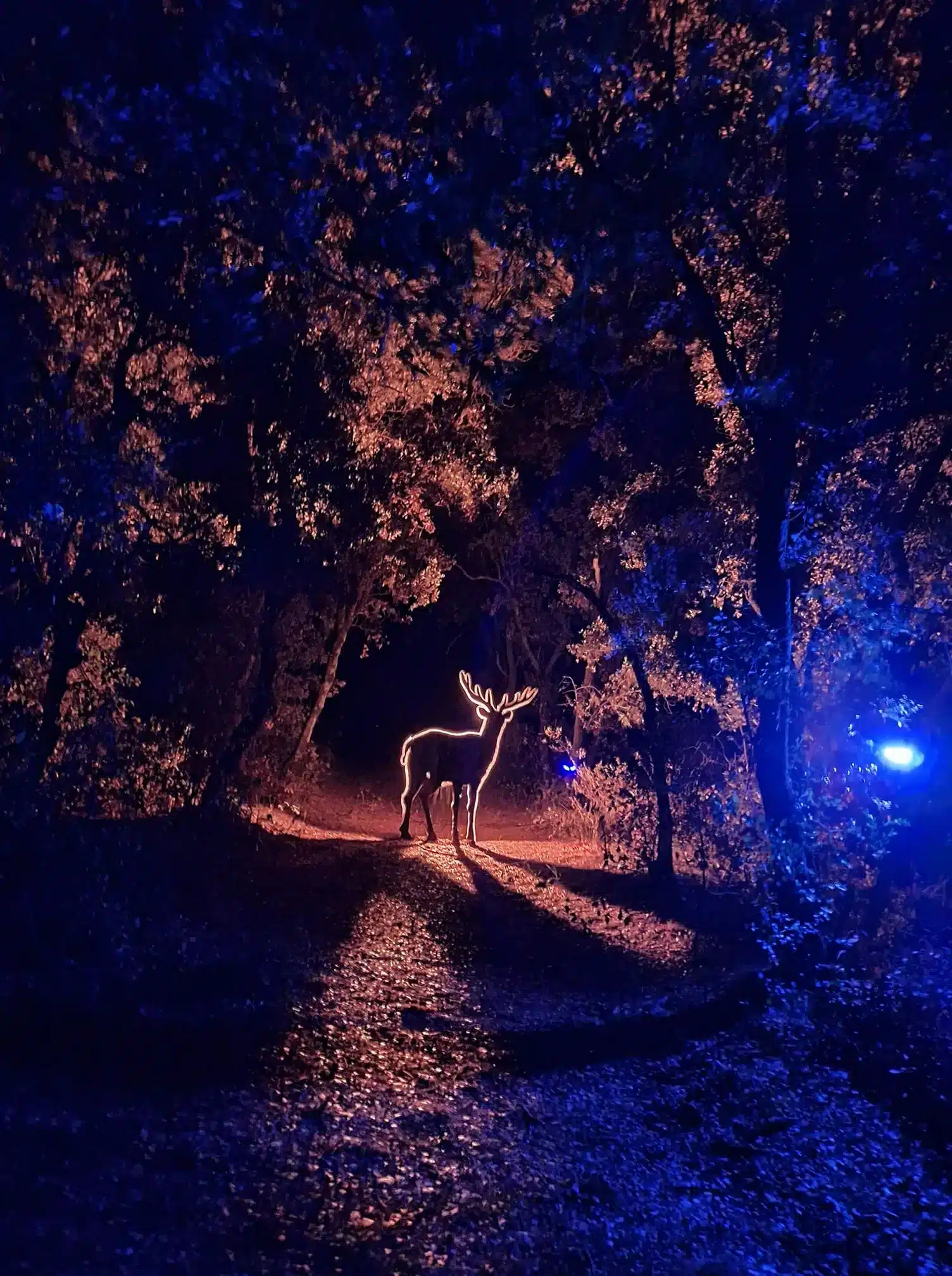 Parc Et Lumieres 3 Jpg.webp