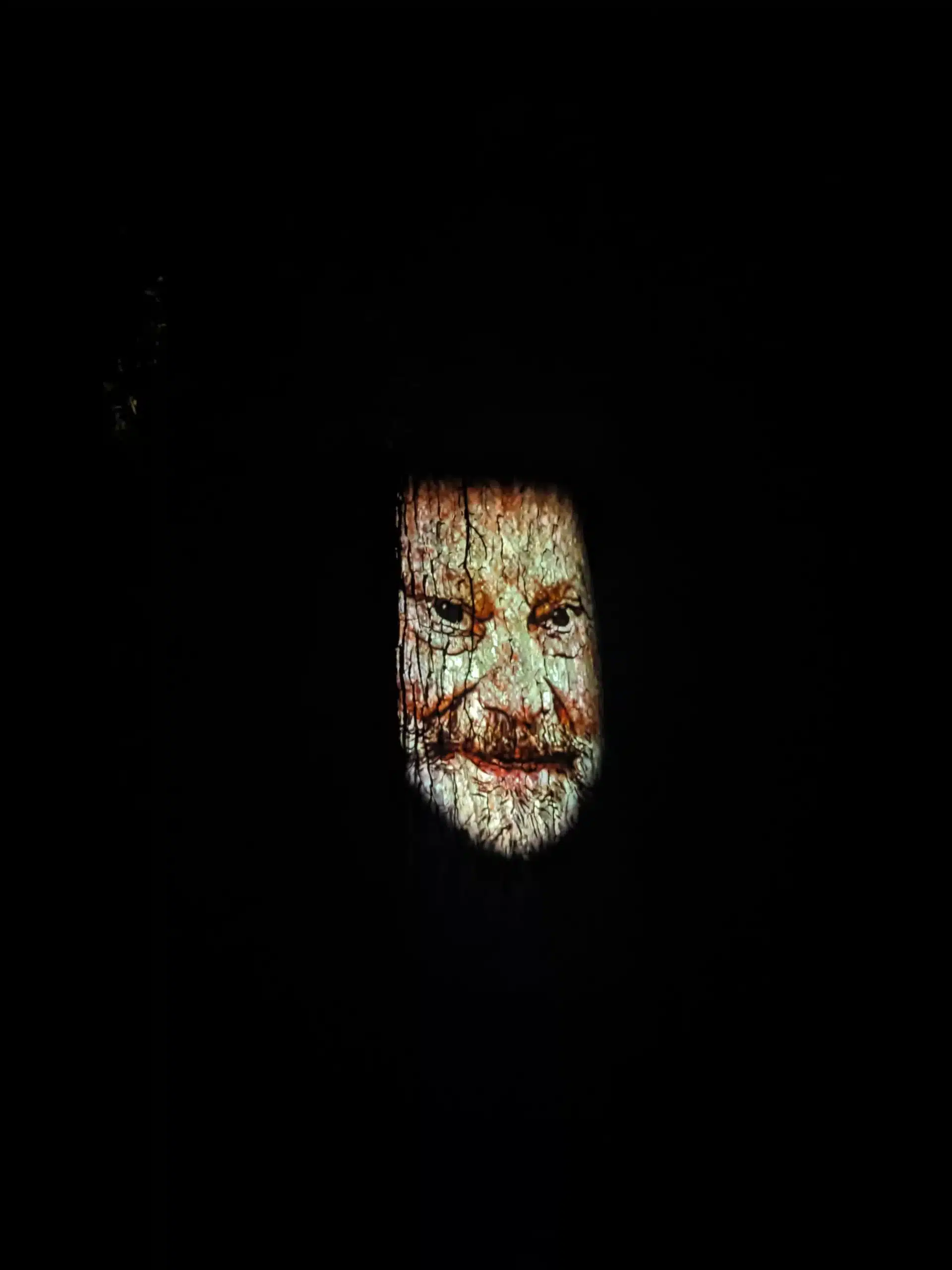 Parc Et Lumieres 5 Jpg.webp