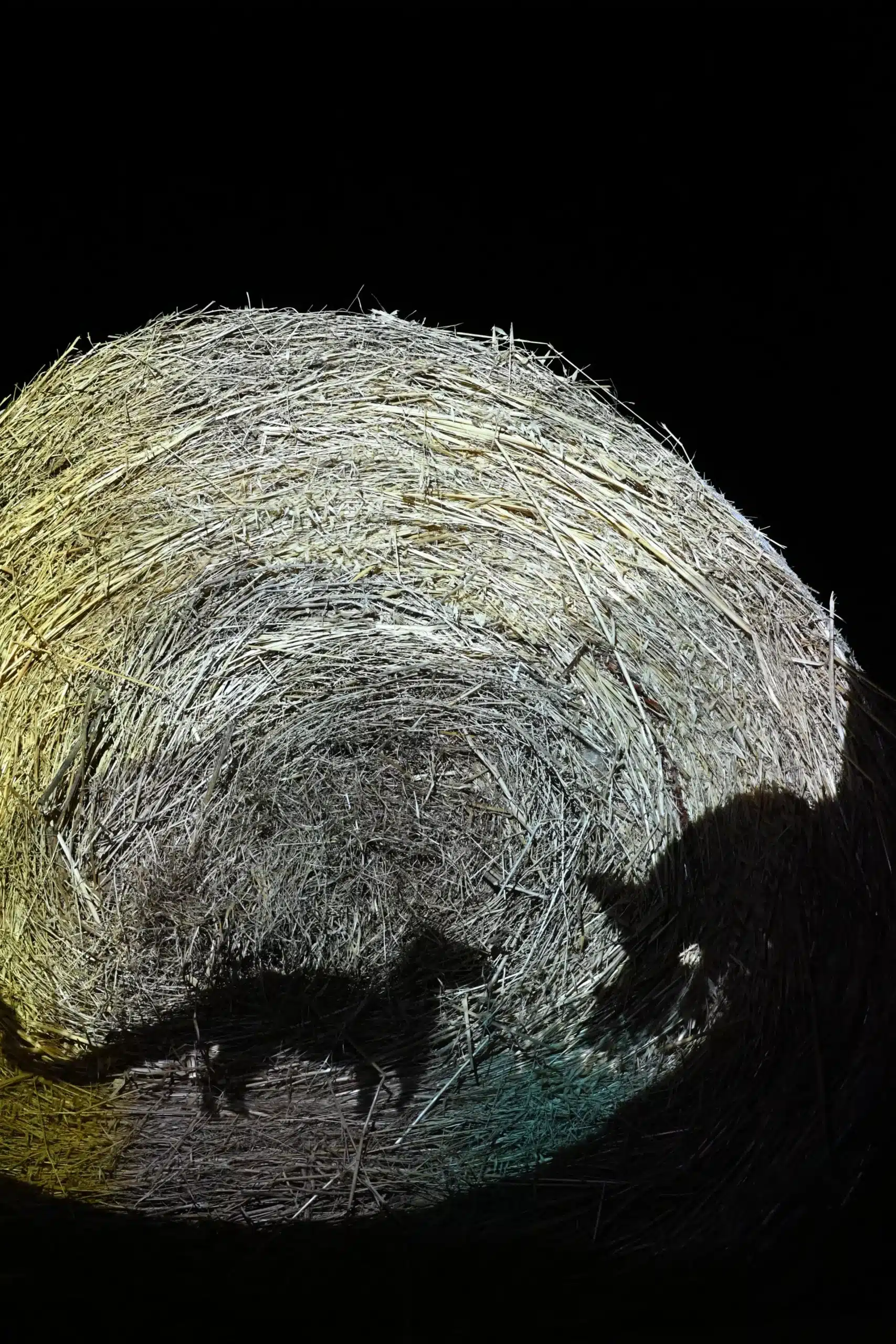 Vinea Lucens 3 Scaled.webp
